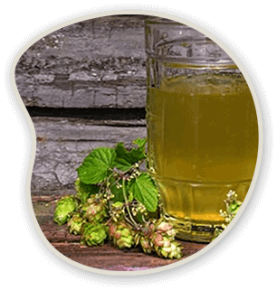 Lemon Peel Extract & Aloe Vera